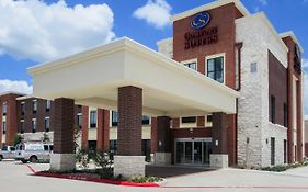 Comfort Suites Kyle Tx